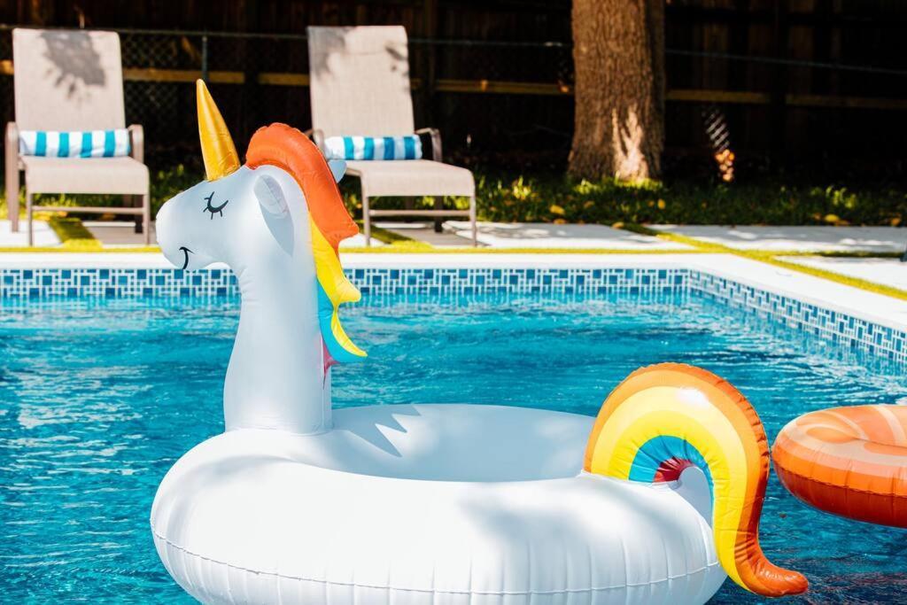 New Miami Home, Pool Near Airport And Beaches, King Bed Exteriör bild